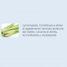 Lemongrass - Aceite esencial Ayurdeva's-