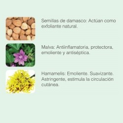 Crema Micro-Exfoliante Ayurdeva's