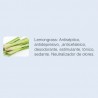 Aroma Lemongrass - Aromatizante de Ambientes