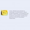 Limón - Aceite esencial Ayurdeva's