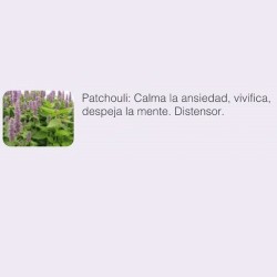 Patchouli - Aceite esencial Ayurdeva´s