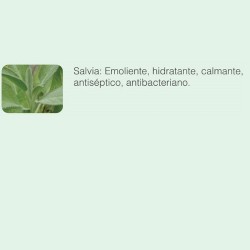 Salvia - Aceite esencial Ayurdeva's